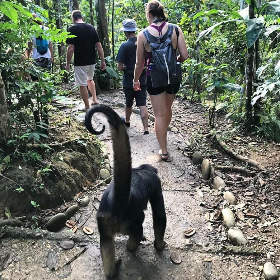 Gaia Amazon Eco Lodge Ahuano Bagian luar foto